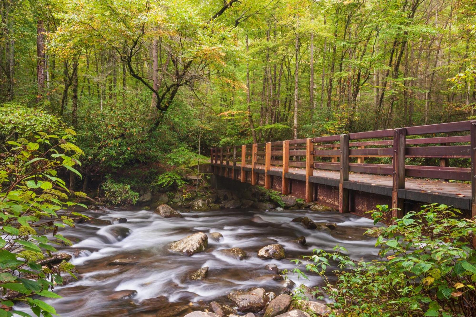 Wilderness Lodge, Hot Tub, Game Room, Pool Access, 1089 Free Tickets Each Paid Day, Dollywood And M Sevierville Bagian luar foto